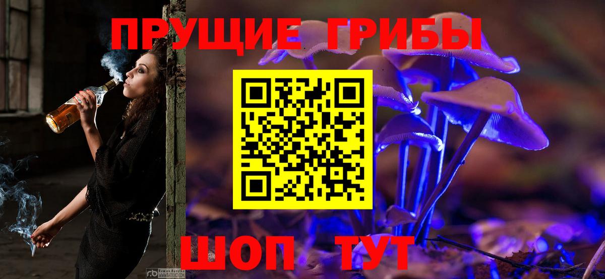 цены наркотик  Галлюциногенные грибы Psilocybine cubensis  Вход с VPN  Домодедово 